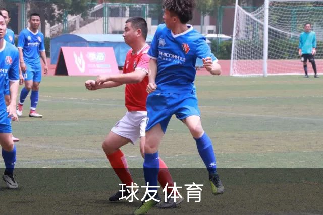 关于球友体育